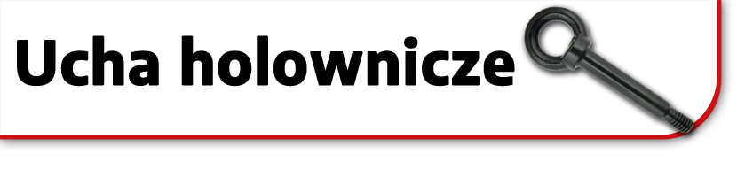 Ucha holownicze